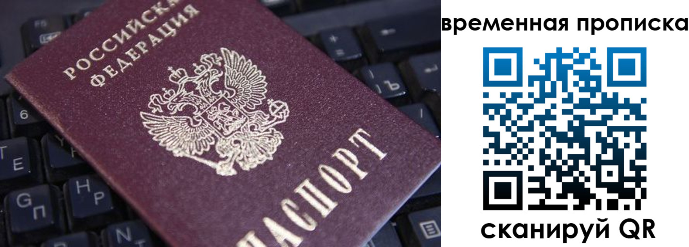 временная регистрация 2025 в Светлом